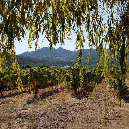 Santa Maria Casa Nostra 4* סינטרה