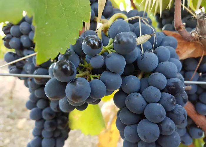 Santa Maria Casa Nostra 4* Sintra